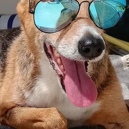 בית אירוח On